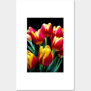 Gold And Red Tulip Bunch Posters and Art